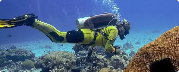 Mergulho